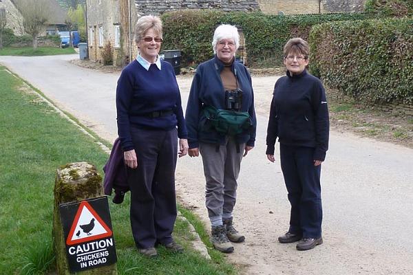 Chicken alert.JPG - Walk at Asthall 30.3.12